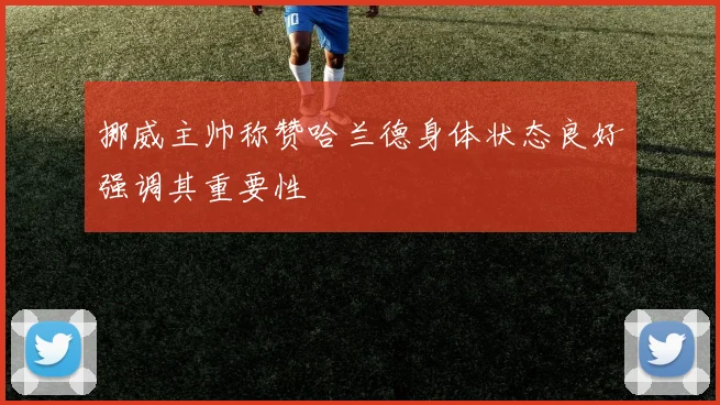 挪威主帅称赞哈兰德身体状态良好强调其重要性