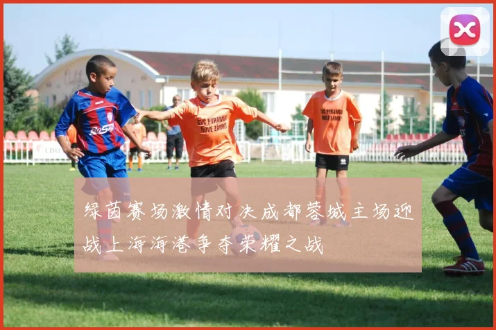 绿茵赛场激情对决成都蓉城主场迎战上海海港争夺荣耀之战