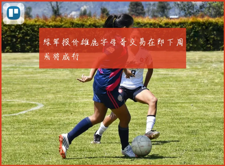 绿军报价雄鹿字母哥交易在即下周或将成行
